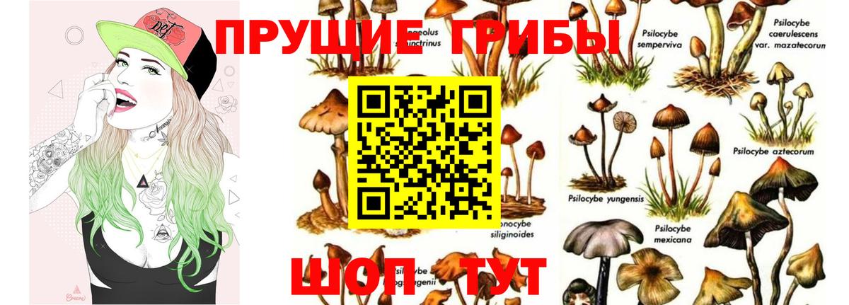 Галлюциногенные грибы мухоморы Фрязино